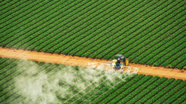 Best Commercial Pest Control Services  in Lakeport, CA