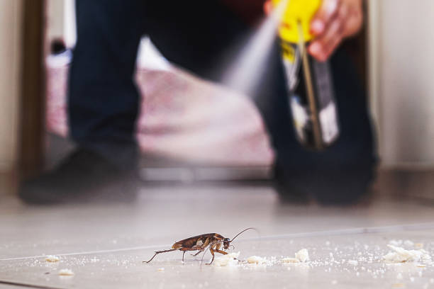 Best Best Pest Control Companies  in Lakeport, CA