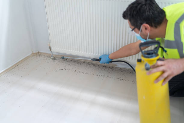 Best Pest Removal Services  in Lakeport, CA